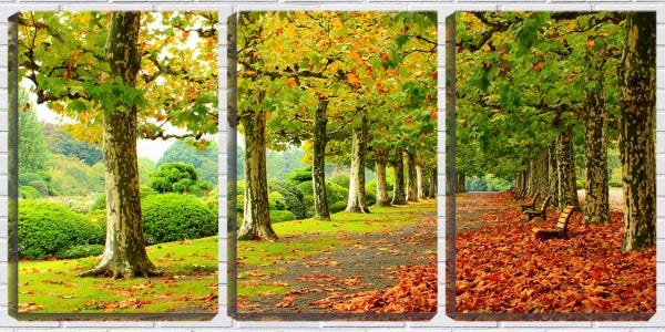 Quadro Decorativo 68x126 caminho de folhas secas - 1