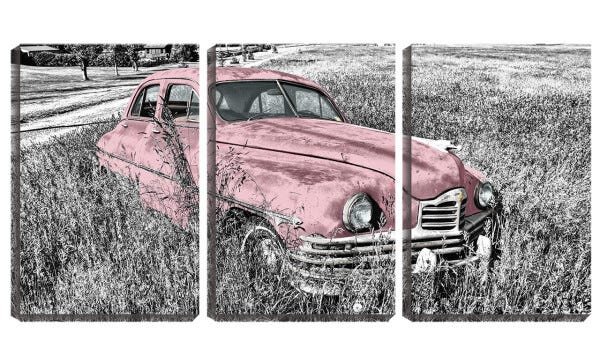 Quadro Decorativo 68x126 carro velho sobre o mato pb - 1