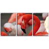 Quadro Decorativo 30x66 bico de flamingo - 1
