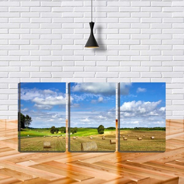 Quadro Decorativo 80x140 céu azul no campo de feno - 2