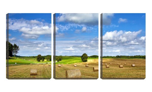 Quadro Decorativo 80x140 céu azul no campo de feno - 1