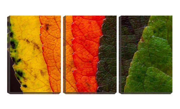 Quadro Decorativo 80x140 folhas nas estações - 1