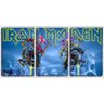 Quadro Decorativo 30x66 eddy cavaleiro iron maiden - 1