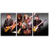 Quadro Decorativo 30x66 aerosmith banda - 2