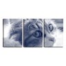 Quadro Decorativo 30x66 pêlos de gato animal - 1