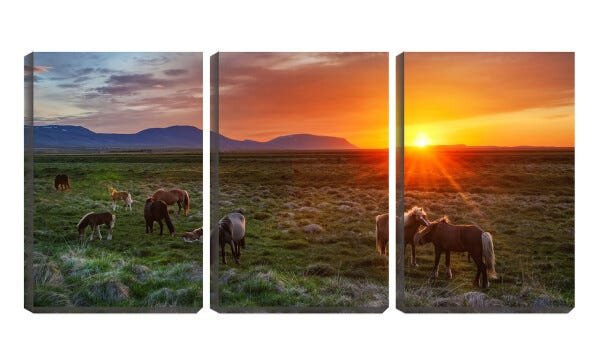 Quadro Decorativo 30x66 cavalos no pasto pela manhã - 1