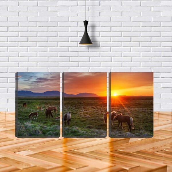 Quadro Decorativo 30x66 cavalos no pasto pela manhã - 2