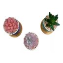 Ver imagem 4 de Kit 3 Suculentas Artificiais Mini Vasinhos Vasos Plantinhas Coloridos