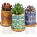 Ver imagem 5 de Kit 3 Suculentas Artificiais Mini Vasinhos Vasos Plantinhas Coloridos