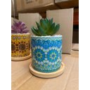 Ver imagem 7 de Kit 3 Suculentas Artificiais Mini Vasinhos Vasos Plantinhas Coloridos