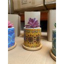 Ver mais imagens de Kit 3 Suculentas Artificiais Mini Vasinhos Vasos Plantinhas Coloridos