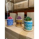 Ver imagem 2 de Kit 3 Suculentas Artificiais Mini Vasinhos Vasos Plantinhas Coloridos