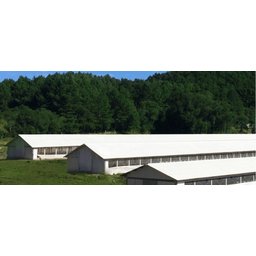 Telha ondulada de fibrocimento 244x110cm 5mm Top Comfort branca Brasilit - 2