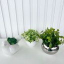 Ver imagem 3 de Decoração sala quarto dupla vaso decor + pássaro c/ planta