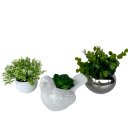 Ver imagem 1 de Decoração sala quarto dupla vaso decor + pássaro c/ planta