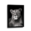 Ver imagem 2 de Quadro Leoa no Preto -- BR ARTES