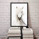 Ver imagem 2 de Quadro Decorativo Fotografia Cavalo Branco 33x24cm:madeira Branca