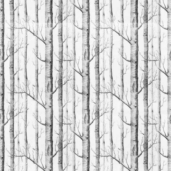 Papel De Parede Adesivo Lavável Árvores De Outono 12m - 1