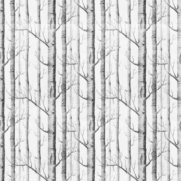 Papel De Parede Adesivo Lavável Árvores De Outono 6m - 1