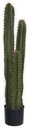 Ver imagem 1 de Planta Artificial Cacto Pu C/pote X3 Verde 1,04cm