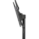 Ver imagem 5 de Estante,suporte para Televisor,tv 32"-65",base Redonda Ferro e Bandeja