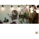Ver imagem 4 de Kit 3 Lampada Led Bulbo 7w E27 Bivolt 6500k Avant