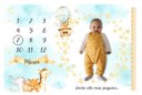 Ver imagem 1 de Lençol Cenário para Foto Mêsversário Animais Minhaestrelinha Minha Estrelinha Lençol Mesversario, Ce