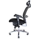Ver imagem 2 de Cadeira Presidente Premium New Ergon Preto W-43C