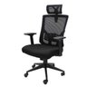 Cadeira de Escritório Presidente Tela Mesh Apoio de Cabeça e Ajuste de Lombar Monaco Giratória - 1