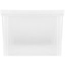 Ver imagem 2 de Caixa Organizadora Plástica Transparente 65l Tampa com Trava Radical Color Ordene Multiuso