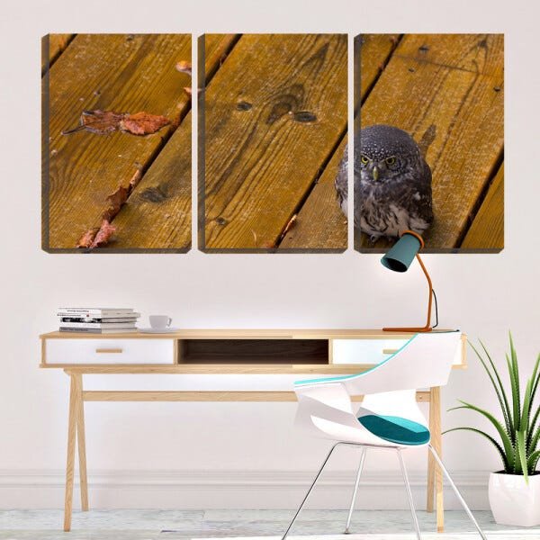 Quadro Decorativo 30x66 coruja no chão de tábuas - 2