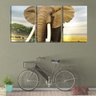 Quadro Decorativo 30x66 grande elefante na savana - 2