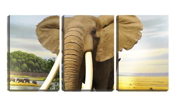 Quadro Decorativo 30x66 grande elefante na savana - 1