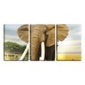 Quadro Decorativo 30x66 grande elefante na savana - 1