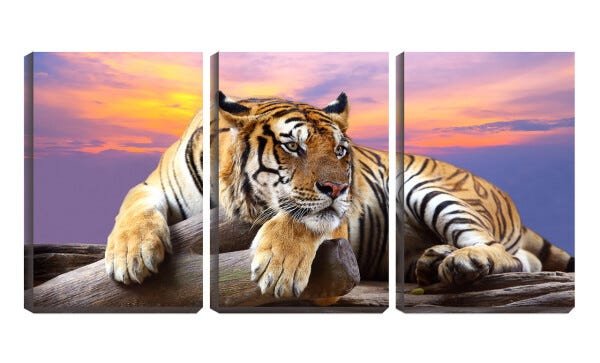Quadro Decorativo 30x66 olhar atento de tigre asiático - 1