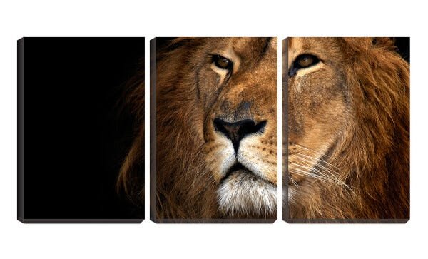 Quadro Decorativo 30x66 face brava de leão funcho preto - 1