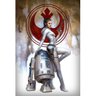Placa Decorativa Poster Geek 60x40 Filmes Series Star Wars 73 - 1