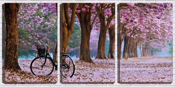 Quadro Decorativo 30x66 bicicleta sobre flores rosas - 1