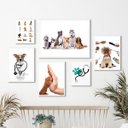 Ver imagem 1 de Kit Composição 6 Quadros Pet Shop e Clinica Veterinária - com Vidro:madeira Preta