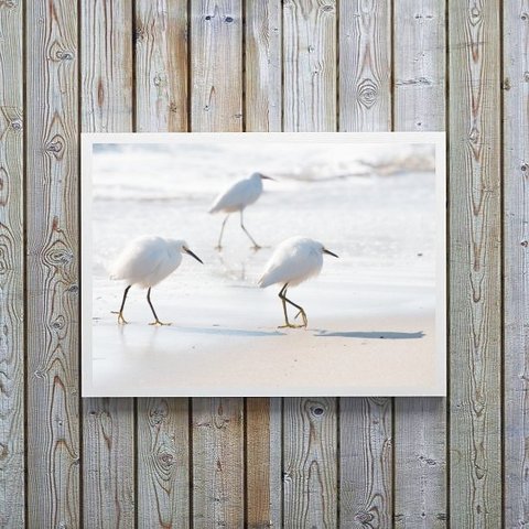 Quadro Decorativo Minimalista- Passarinhos Brancos 45x34cm - com Vidro:madeira Preta