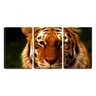 Quadro Decorativo 30x66 linhas formando um tigre arte - 1