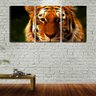 Quadro Decorativo 30x66 linhas formando um tigre arte - 2