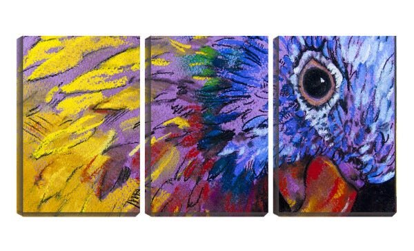Quadro Decorativo 30x66 arte papagaio colorido desenho - 1