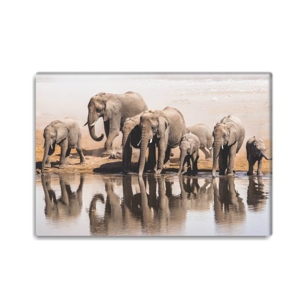 Quadros decorativos em Canvas Troupeau 65x45cm - 1