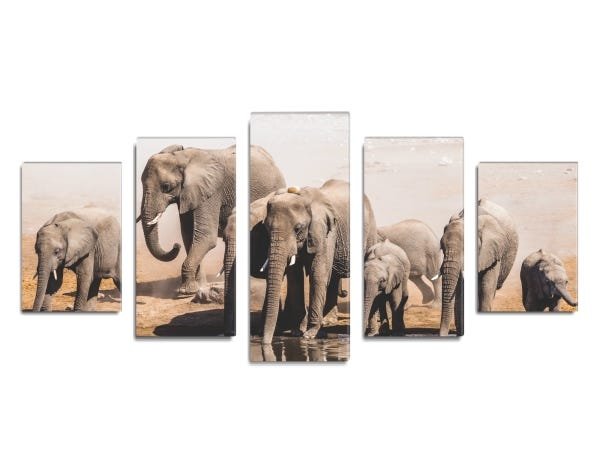 Conjunto de 5 quadros decorativos Troupeau 135x60cm - 1