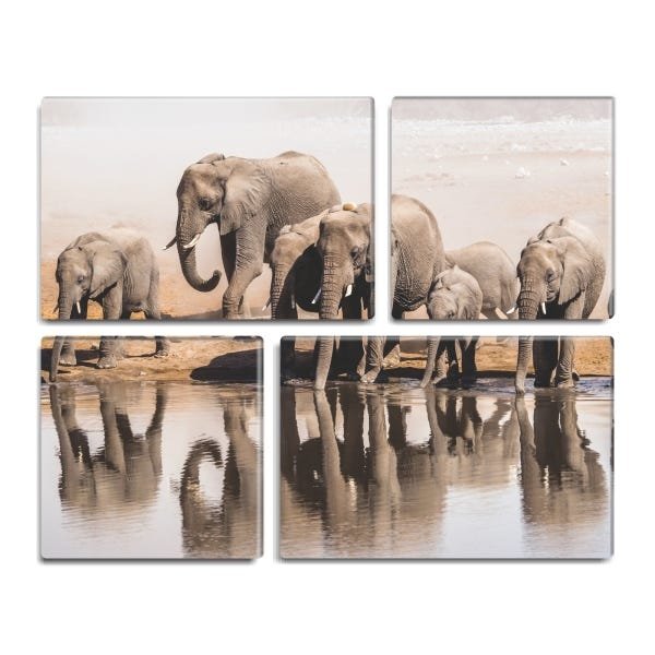 Conjunto de 4 quadros decorativos Slim Troupeau 105x85cm - 1