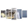 Conjunto de 5 quadros decorativos Olhos da Águia 135x60cm - 1