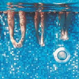 Aspirador para Limpeza de Piscina com 8 Rodas - Brustec - 5