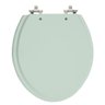 Assento Laqueado Oval Verde Claro Tampa para Vaso Universal - 1