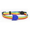 Kit Passeio: Coleira + Guia + Peitoral Cat Arco-íris 10mm - 1